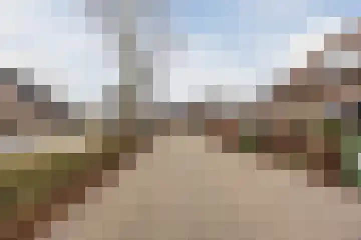 Grootveld 65 Boekel thumbnail 50