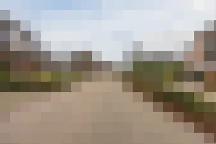 Grootveld 65 Boekel thumbnail 51