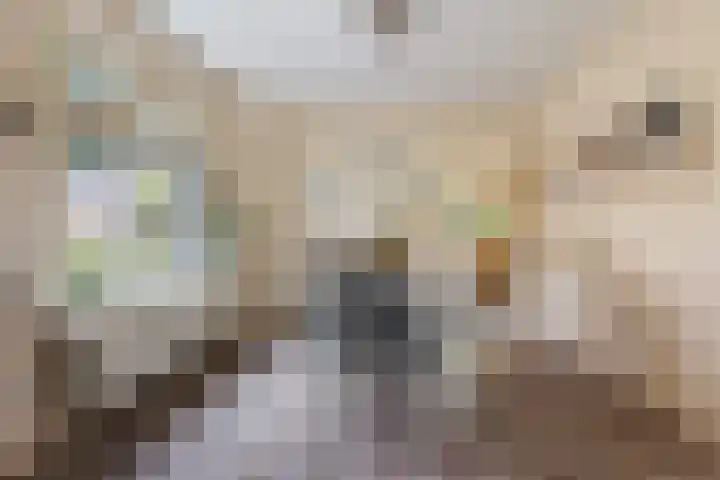 Grootveld 65 Boekel thumbnail 56