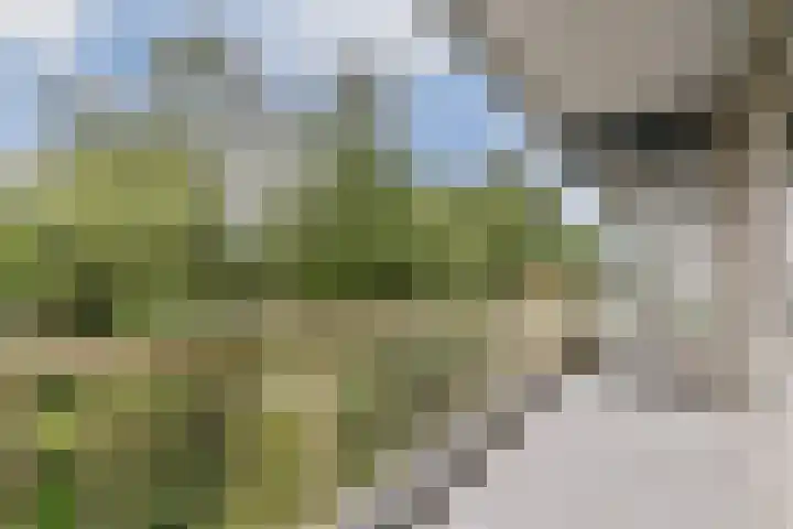 Grootzeil 33 Amsterdam thumbnail 5