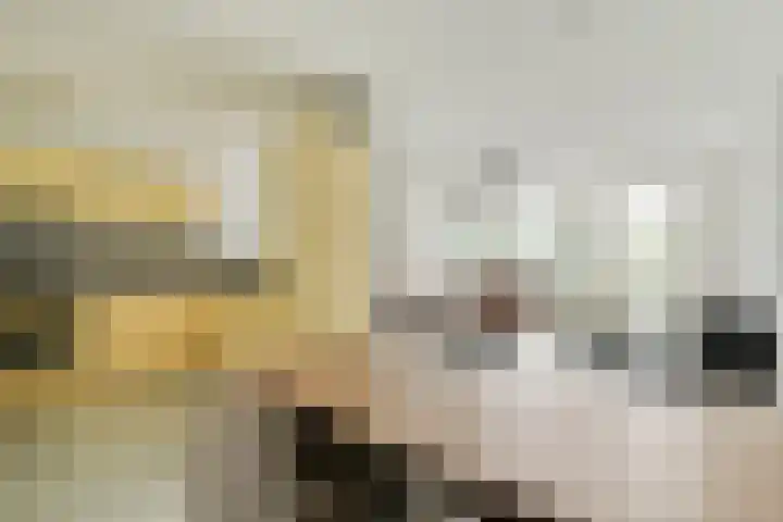 Grootzeil 33 Amsterdam thumbnail 9