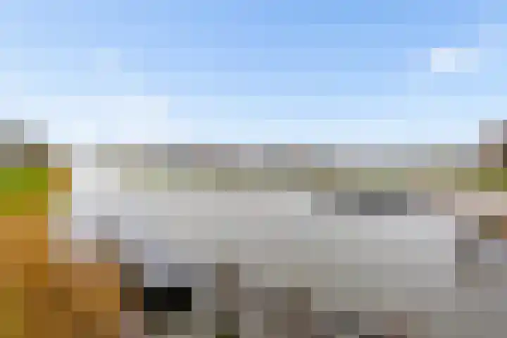 Grootzeil 426 Almere thumbnail 48