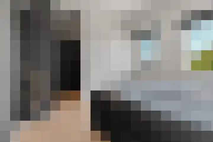 Grootzeil 49 Almere thumbnail 24