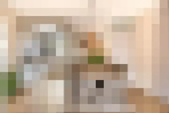 Gropiuslijn 24 Zoetermeer thumbnail 13
