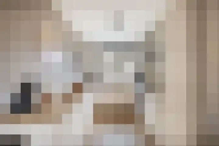 Gropiuslijn 24 Zoetermeer thumbnail 14