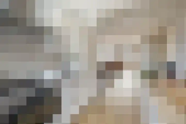 Gropiuslijn 24 Zoetermeer thumbnail 15