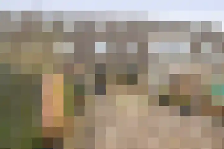 Gropiuslijn 24 Zoetermeer thumbnail 20