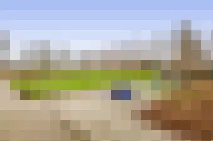 Gropiuslijn 24 Zoetermeer thumbnail 34
