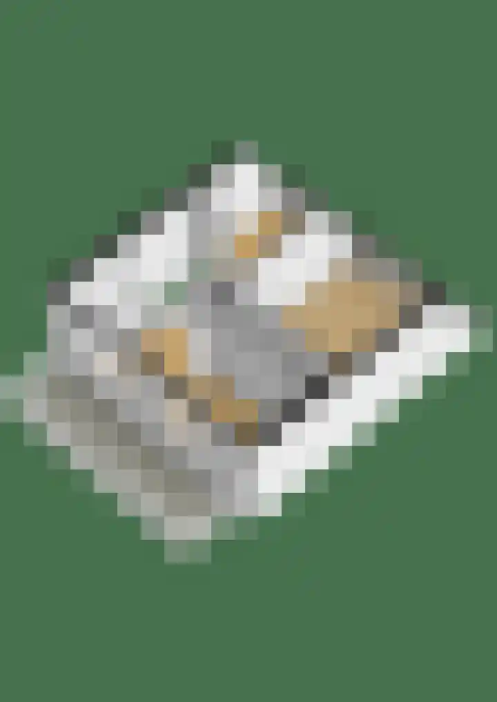Gropiuslijn 24 Zoetermeer thumbnail 42