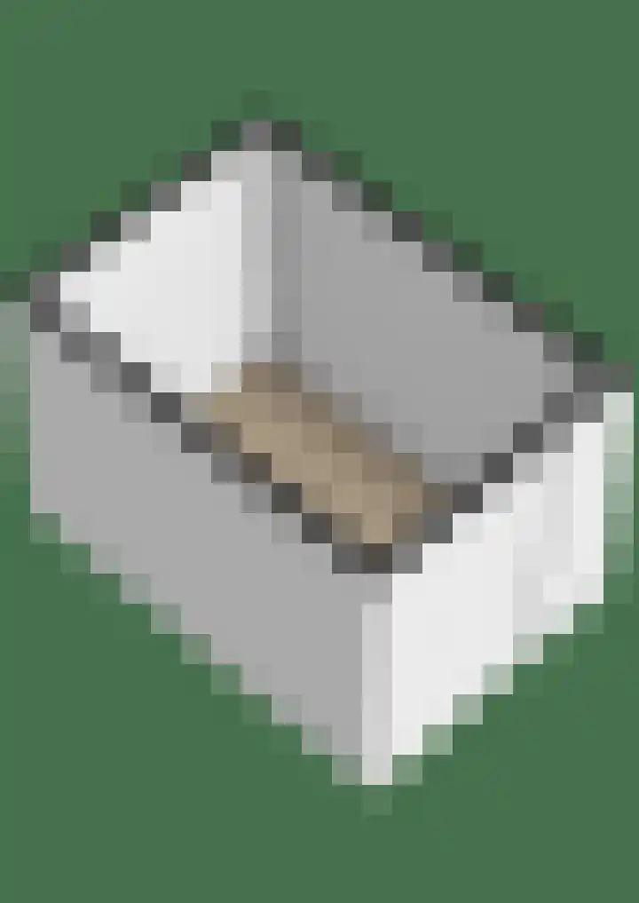 Gropiuslijn 24 Zoetermeer thumbnail 44