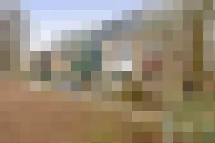 Gropiuslijn 24 Zoetermeer thumbnail 6