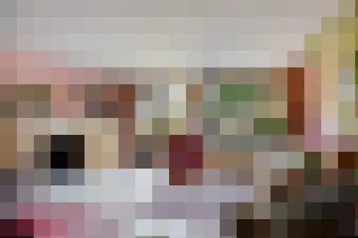 Gropiuslijn 26 Zoetermeer thumbnail 12