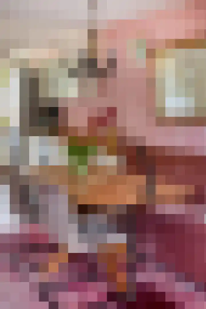 Gropiuslijn 26 Zoetermeer thumbnail 18