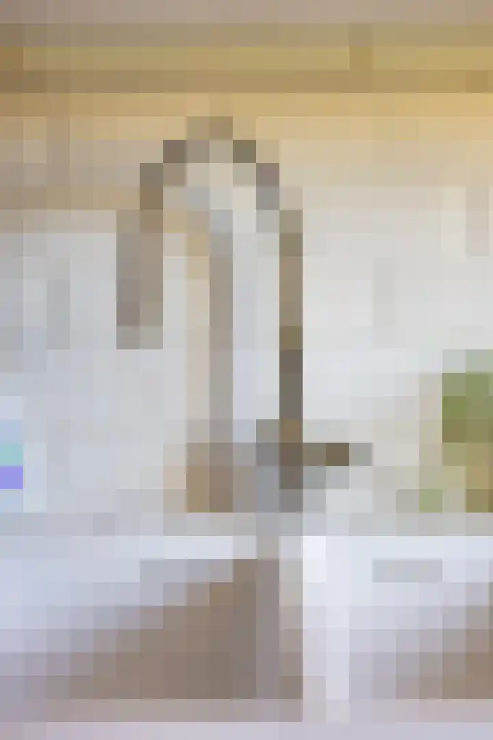 Gropiuslijn 26 Zoetermeer thumbnail 23