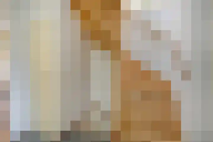 Gropiuslijn 26 Zoetermeer thumbnail 26