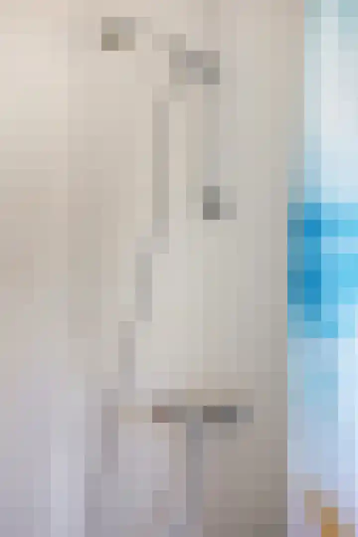 Gropiuslijn 26 Zoetermeer thumbnail 32