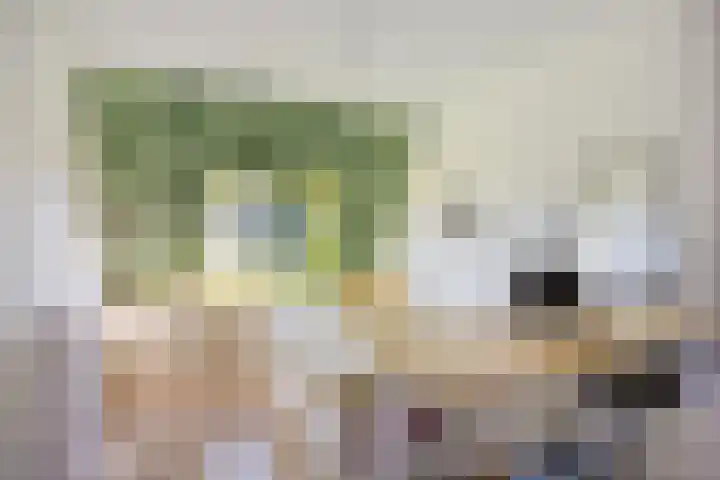 Gropiuslijn 26 Zoetermeer thumbnail 33
