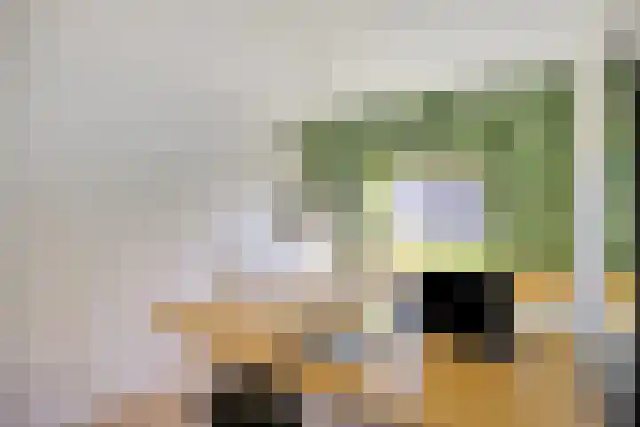 Gropiuslijn 26 Zoetermeer thumbnail 34