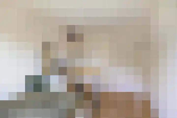 Gropiuslijn 26 Zoetermeer thumbnail 35