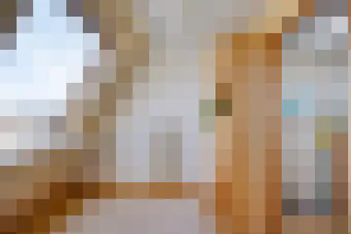 Gropiuslijn 26 Zoetermeer thumbnail 47