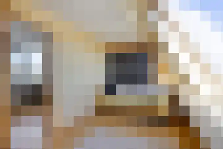 Gropiuslijn 26 Zoetermeer thumbnail 48