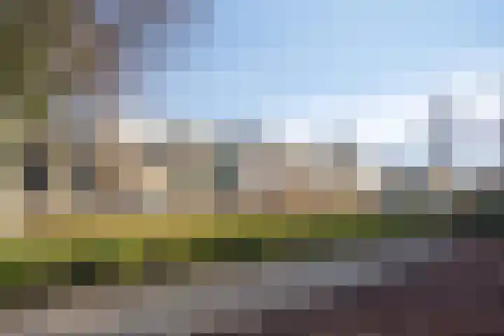 Gropiuslijn 26 Zoetermeer thumbnail 5