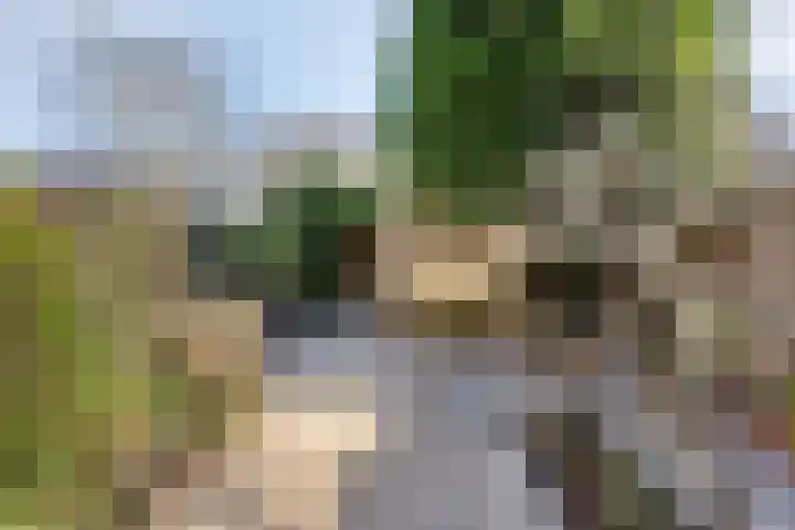 Gropiuslijn 26 Zoetermeer thumbnail 52