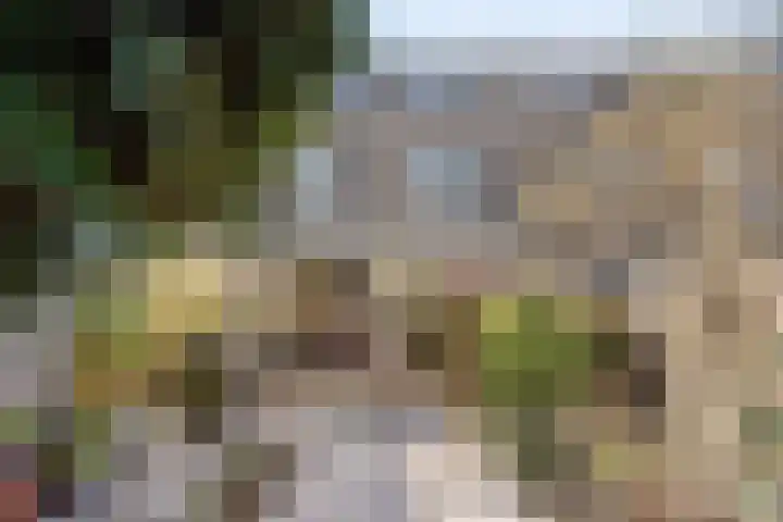 Gropiuslijn 26 Zoetermeer thumbnail 55
