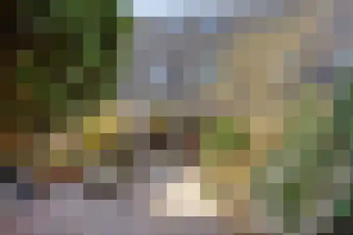 Gropiuslijn 26 Zoetermeer thumbnail 56