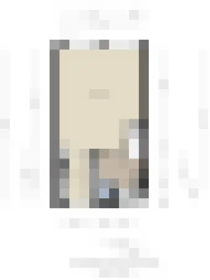 Gropiuslijn 26 Zoetermeer thumbnail 61