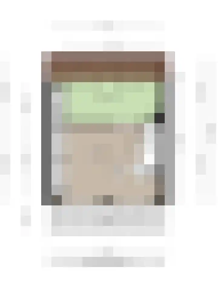 Gropiuslijn 26 Zoetermeer thumbnail 63