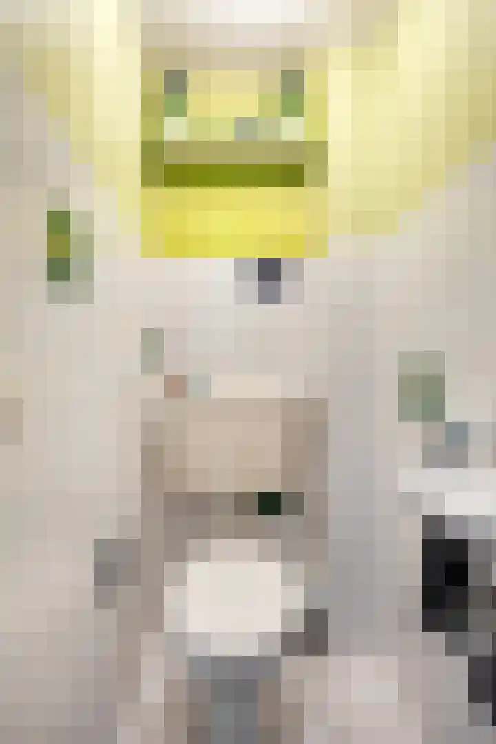 Gropiuslijn 26 Zoetermeer thumbnail 8