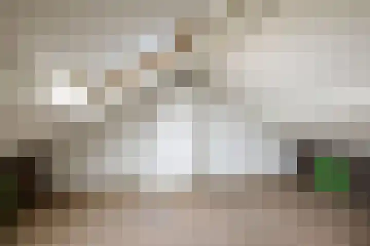 Grote Barteldweg 19 Twello thumbnail 22