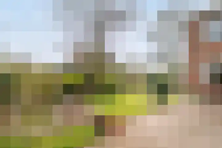 Grote Barteldweg 19 Twello thumbnail 24