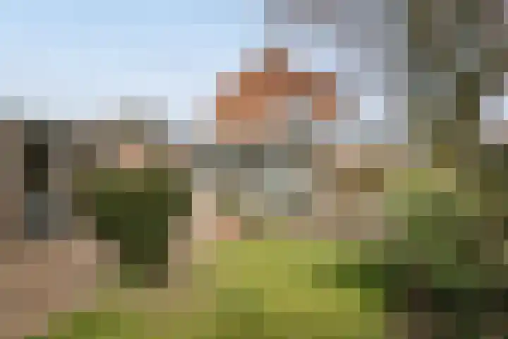 Grote Barteldweg 19 Twello thumbnail 25