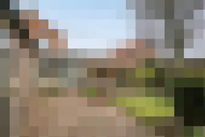 Grote Barteldweg 19 Twello thumbnail 26