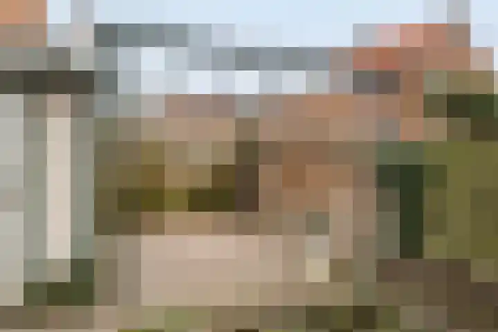 Grote Barteldweg 19 Twello thumbnail 27