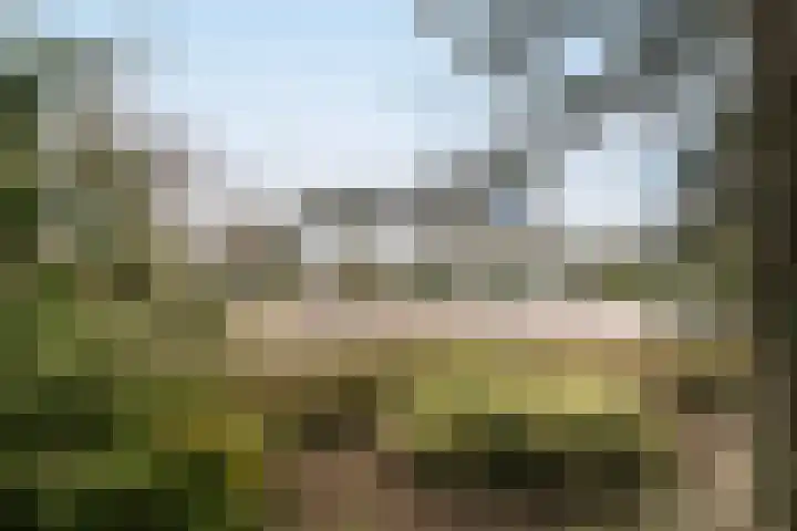 Grote Barteldweg 19 Twello thumbnail 30