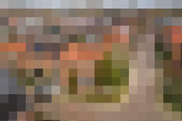 Grote Barteldweg 19 Twello thumbnail 32