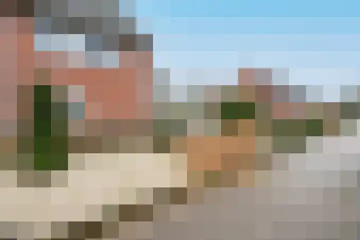 Grote Beer 15 Zeewolde thumbnail 31