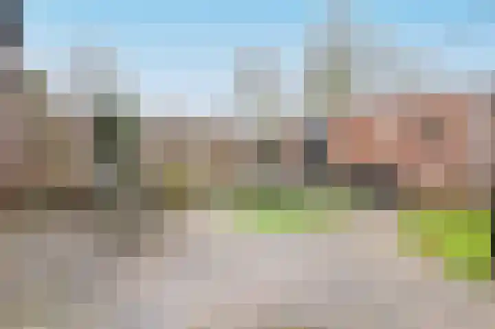 Grote Beer 15 Zeewolde thumbnail 33