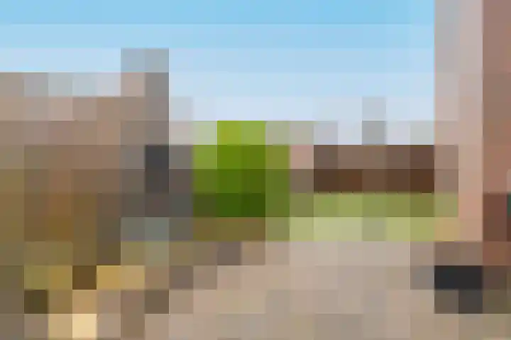 Grote Beer 15 Zeewolde thumbnail 35