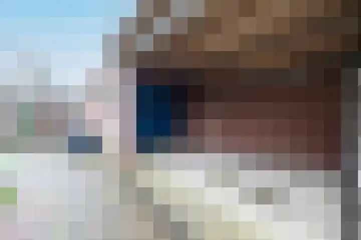 Grote Beer 15 Zeewolde thumbnail 36