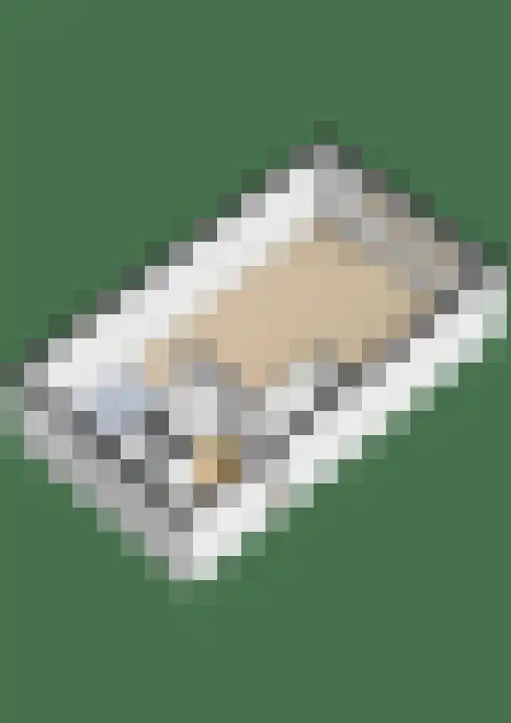 Grote Beer 15 Zeewolde thumbnail 40
