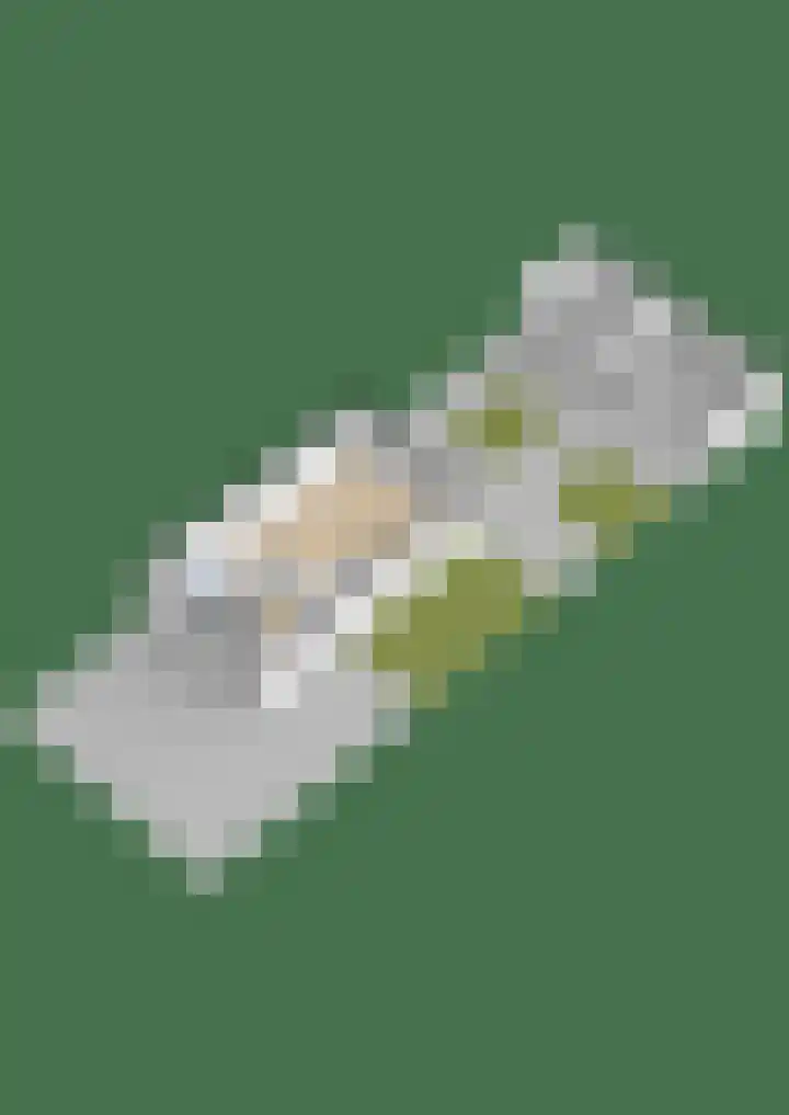 Grote Beer 15 Zeewolde thumbnail 48