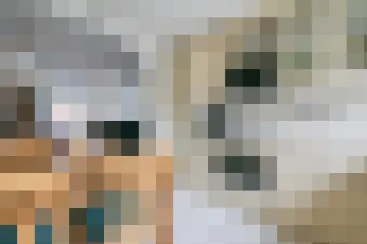 Grote Beer 15 Zeewolde thumbnail 9