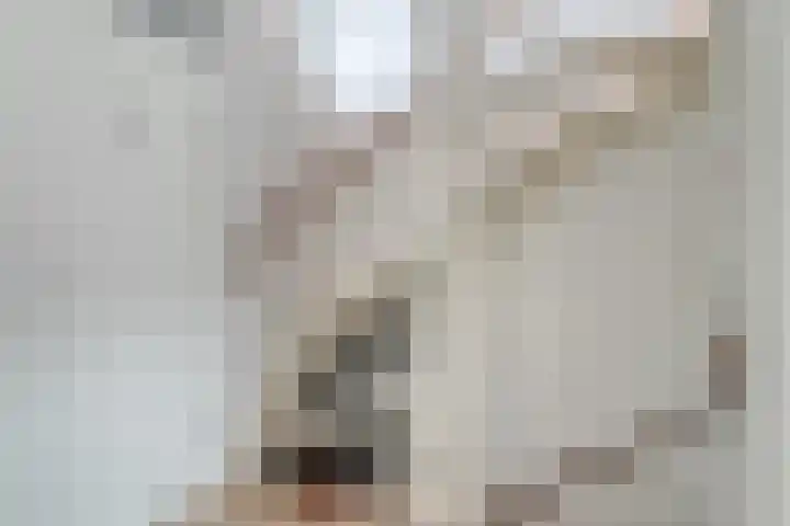 Grote Beer 43 Zeewolde thumbnail 14