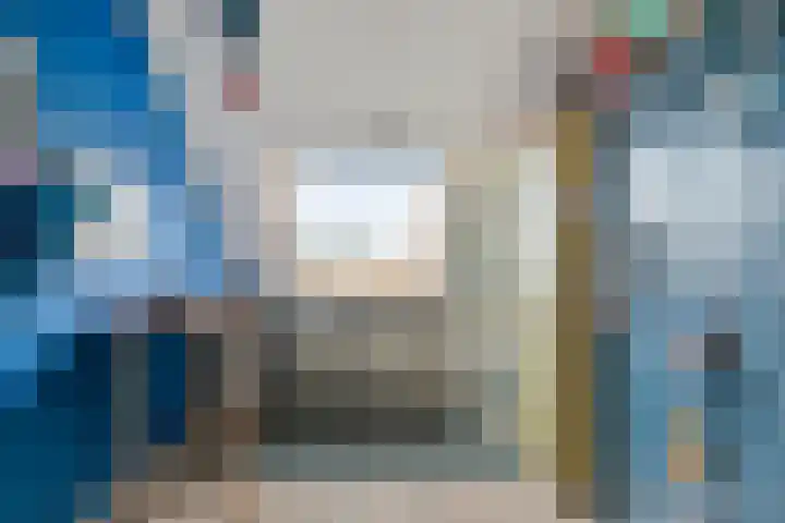 Grote Beer 43 Zeewolde thumbnail 15