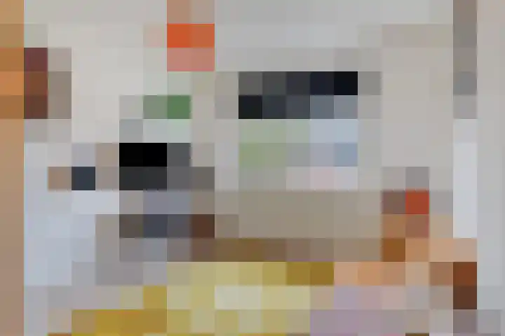 Grote Beer 43 Zeewolde thumbnail 17