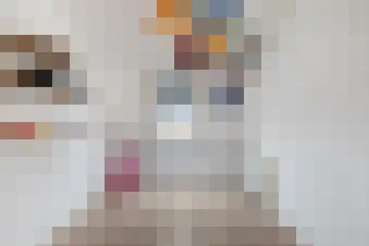 Grote Beer 43 Zeewolde thumbnail 19